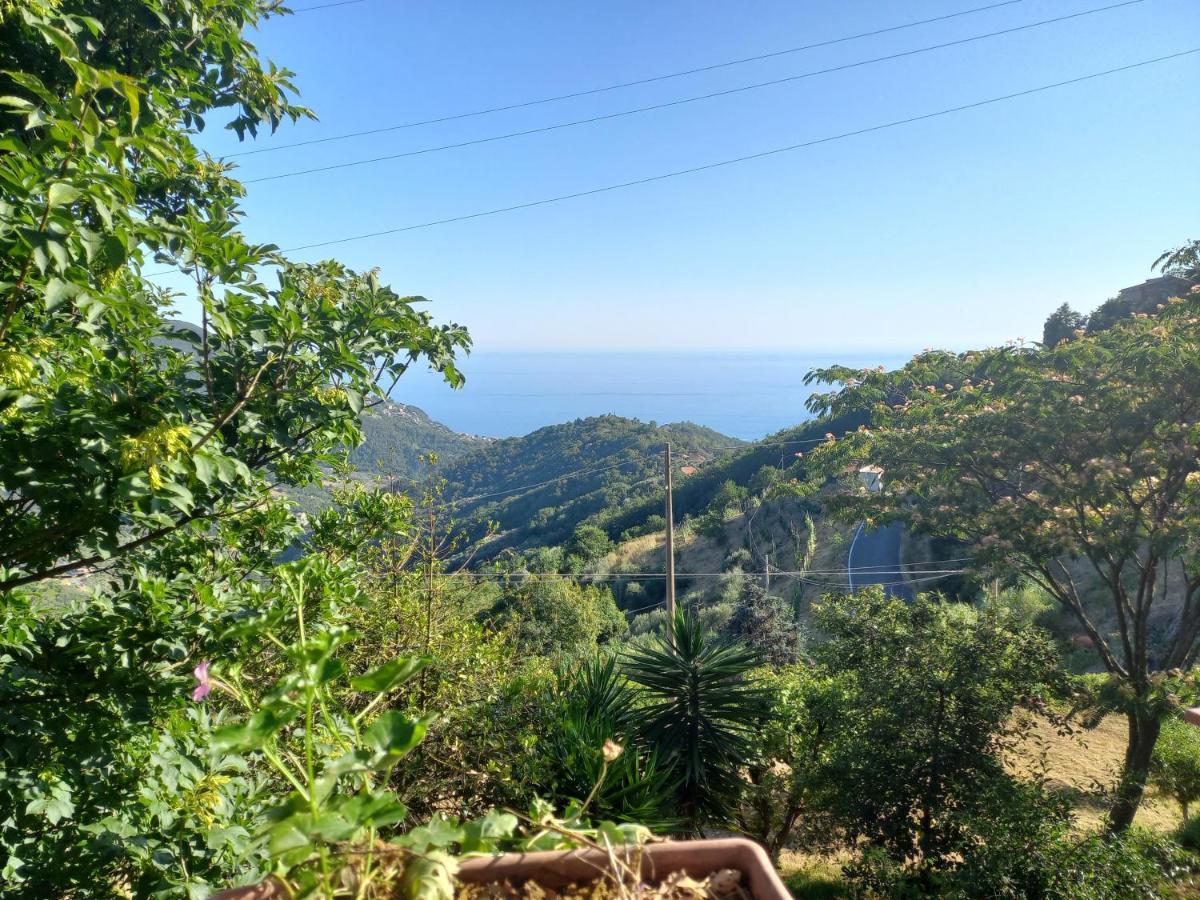 Cinque Terre & Portofino Lodge-Dependance Bracco Moneglia Eksteriør billede