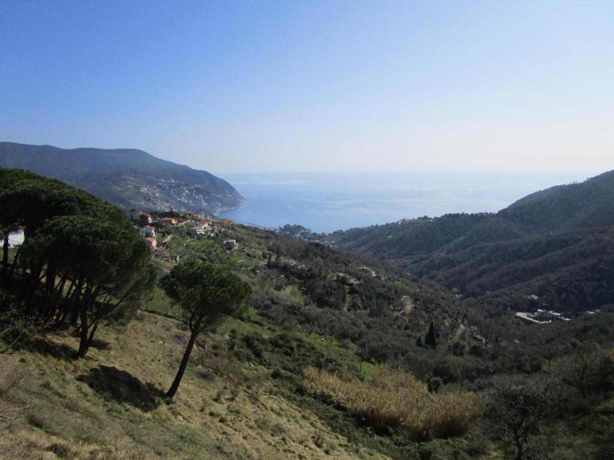 Cinque Terre & Portofino Lodge-Dependance Bracco Moneglia Eksteriør billede
